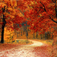 adelaide autumn