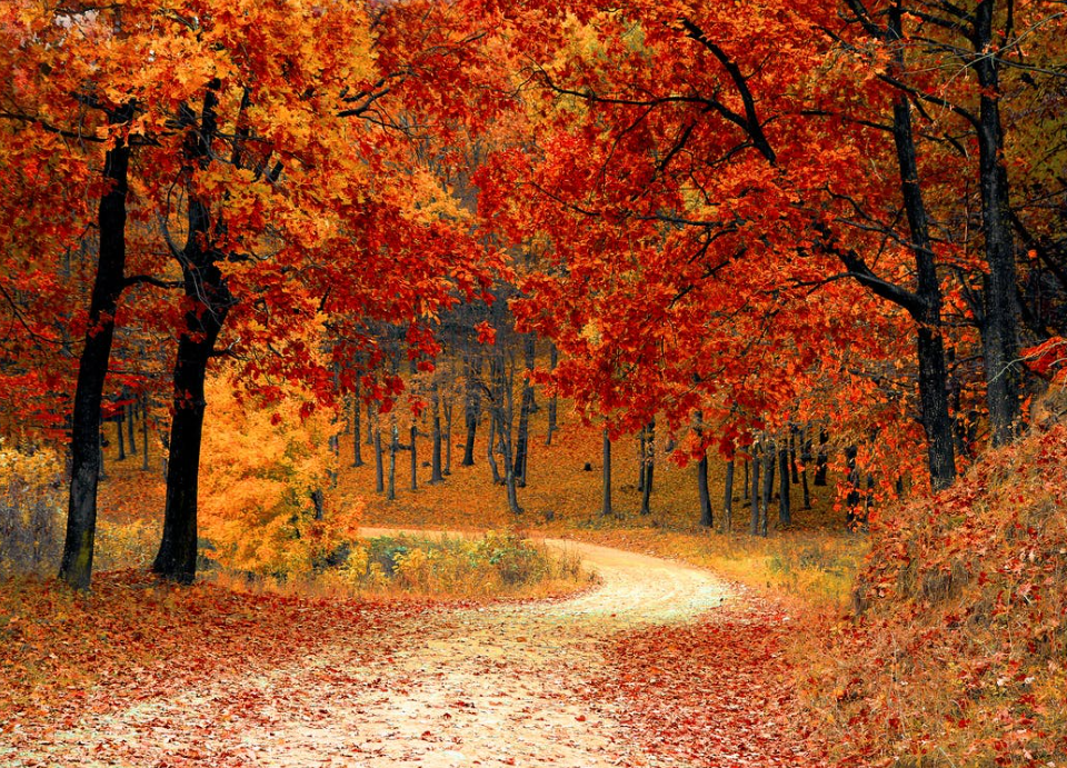 adelaide autumn